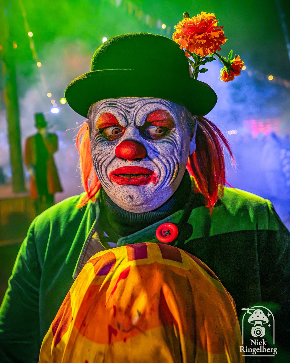 RingelbergNick's tweet photo. Halloween @ Toverland
#toverland #halloween #themeparks #photo #halloween2026
📍 Toverland https://t.co/todesUGJE4
