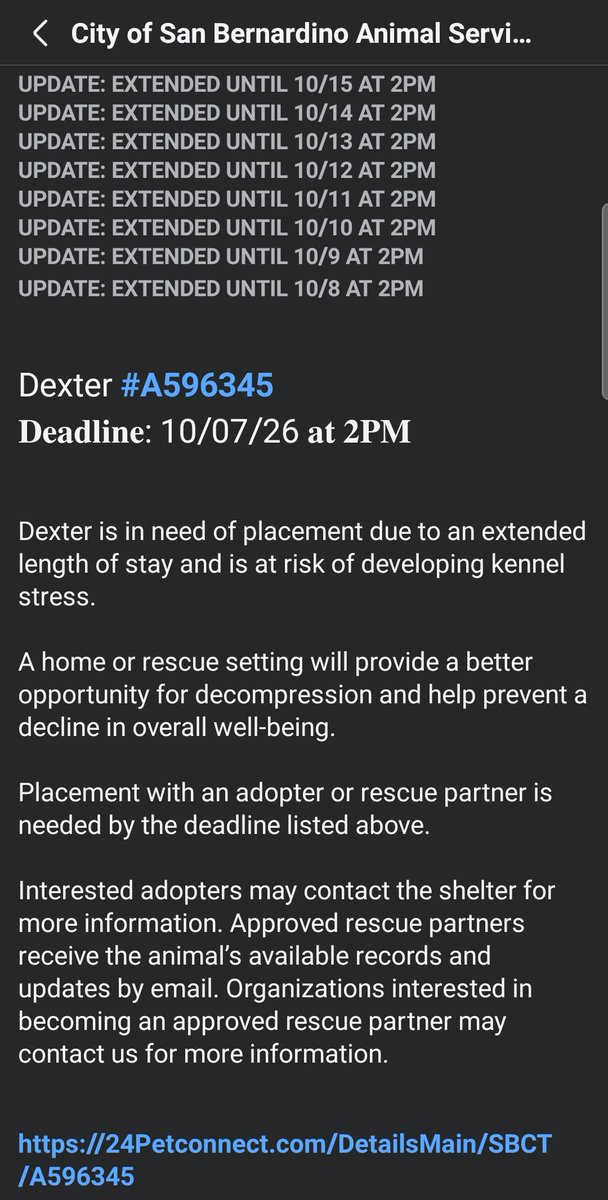 itsadogslifersq's tweet photo. DEXTER #S596345
2yo.#dutchshepherd #dutchie
📍#SanBernardino City #CA

He's an incredible boy with perfect energy = #adoptable! 

Calling all #Dutchielovers where are you at?

Ext since 10/8, deadlined again today 10/25‼️

Why?

1) "Length of stay"
2) No interest

Save this gem! https://t.co/YFZuD4GRQB