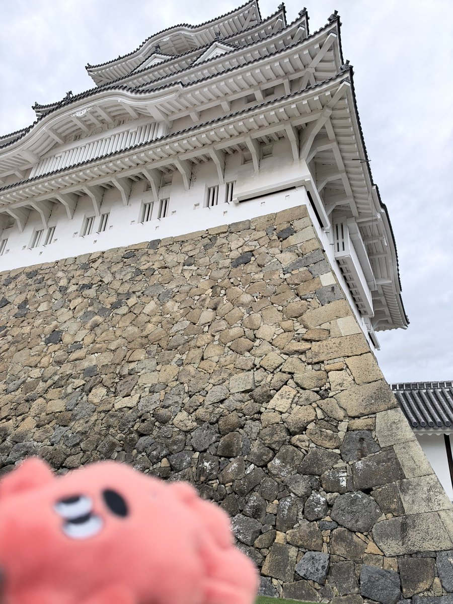 _mooo_mooo_y's tweet photo. しゅんちゃん、姫路城だよ
姫路城、しゅんちゃんだよ https://t.co/YAPo01mNF3