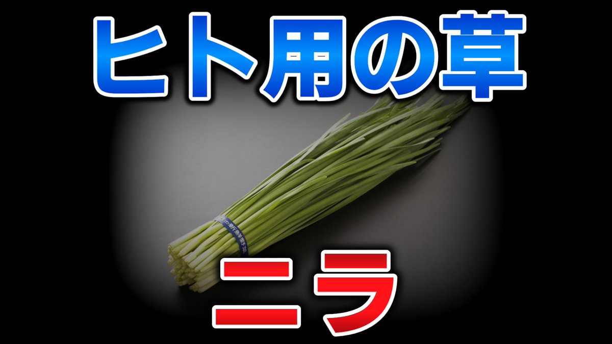 yukkurikemu's tweet photo. ヒトでよかった https://t.co/pcmcYTzbek