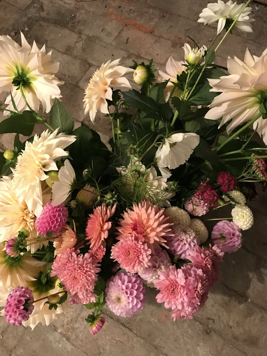 katespatch's tweet photo. Good morning Everyone! This afternoon Daughter Emma &amp; Son Henry are coming with Son in laws family as well to do a Gender Reveal as both are having babies in New Year!! We didn’t want to know but they thought someone would let it slip!! 😄we are all having Curry after!! 🎉🎉💐💐 https://t.co/331pP5fVQo
