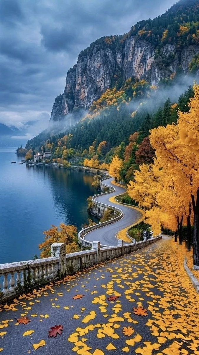 SairaaliMM's tweet photo. Have a wonderful autumn https://t.co/bSP4F9oipX