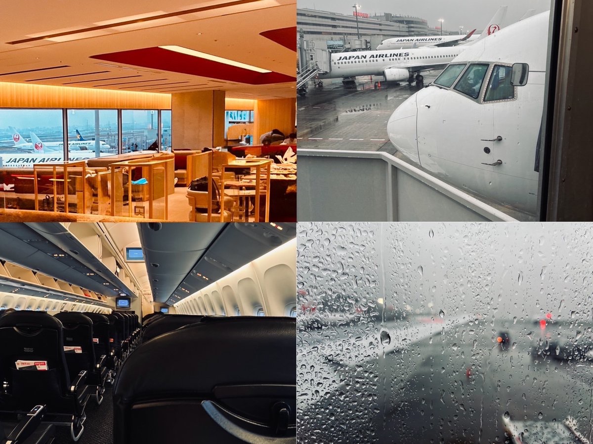 iuta22's tweet photo. 羽田空港着🛬リニューアルしたJALサクララウンジ🌸木の壁と赤い天井🟥窓の外には鶴丸の尾翼が並び✈️ハイボールを飲みながら出発を待つ間🥃リラックスモードに包まれる空間🫧🔱あいにくの雨模様☔️でも機内はいつもと変わらない姿で迎えてくれます💫雨粒で窓からの景色は望めそうにありませんが🌃朝からたっぷり酔っ払ったんで🍺🥃🍷🍶ぐっすり😴💤眠れそうです笑笑