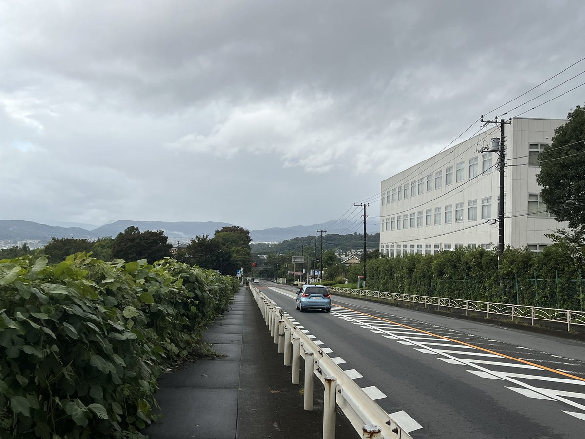 wringbeans's tweet photo. 今日は午後から雨予報☔

山は雨だろうと予想して、深追いせずに大山のこま参道階段下までの登り練へ

少し遠回りしてR246を東に進み再び熊🐻が出た近くの善波峠を越える

下りはダッシュ、途中比々多神社🐴を寄り道して参道までの登り開始

キツい登りはペースアップ、途中から雨に降られての前半21km https://t.co/bK2gRydozK