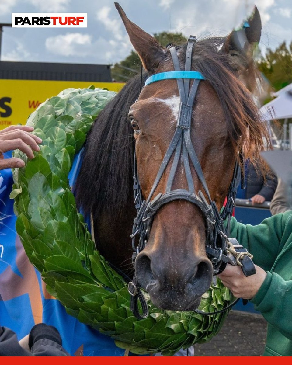 Paris_Turf's tweet photo. 🏆 𝐇𝐚𝐫𝐦𝐨𝐧𝐞𝐭 𝐝𝐞 𝐂𝐡𝐨𝐢𝐬𝐞𝐥 (SG. Dupont) est le Grand Vainqueur du Circuit TETF avec 3️⃣ victoires et une 🥈 place acquise hier soir lors de la Finale à Mons. https://t.co/eYCLY0bQqy