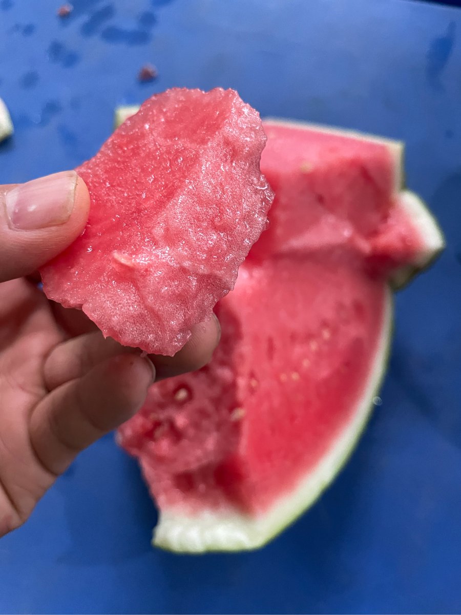 tomoe561109's tweet photo. [瓜内媚]って、美味しい瓜の中の上品な甘さのことだよね。夏にぴったり！ https://t.co/Rkwzk9emgP