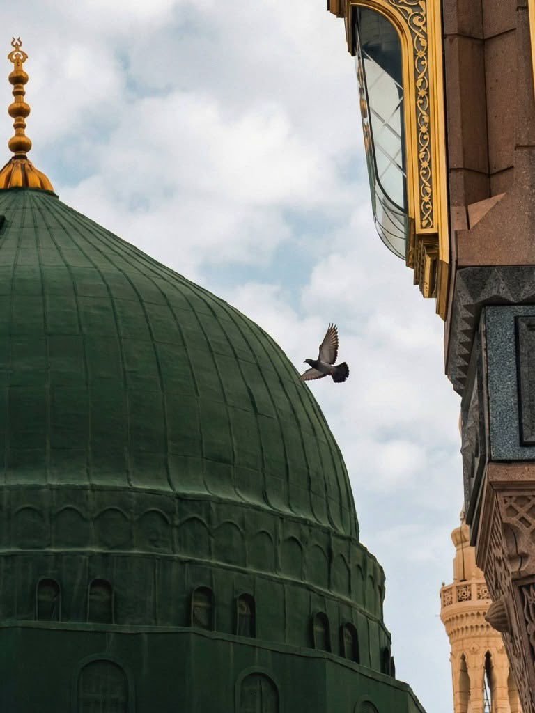 j__rfi's tweet photo. خَاتَمُ النَّبِیِّیْنَ رَحۡمَةً لِّلۡعَٰالَمِينَ 💚

صلی اللّٰہ علیہ و آلہٖ وسلم ❤️ https://t.co/g9zOPq6NHm