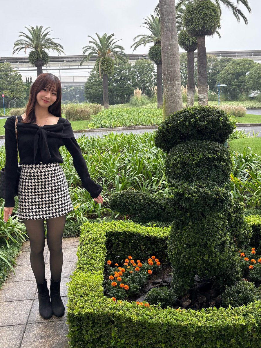 miss_seikei2601 tweet picture