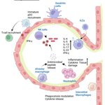 Photo by Pathogens MDPI (@Pathogens_MDPI)