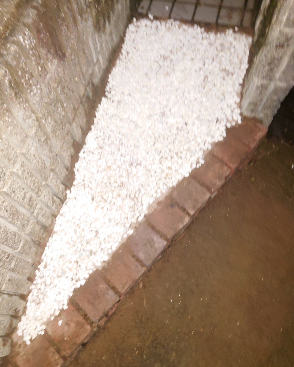 reifa_kimagure's tweet photo. 発根できずにいた外構部を、雨上がりで土が緩んでた所で何とかやり終え、ゴミ袋一杯の根を捨て、除草剤＞土＞防草砂＞砂利と踏み重ねて終了。

それと同時に、移動や何かする時のお供「タイムマシン部」のラジオを全ストック2週目の拝聴を達成❗️

そろそろラジオの再開をして頂きたいなぁ… https://t.co/Z8YwU1TUiR