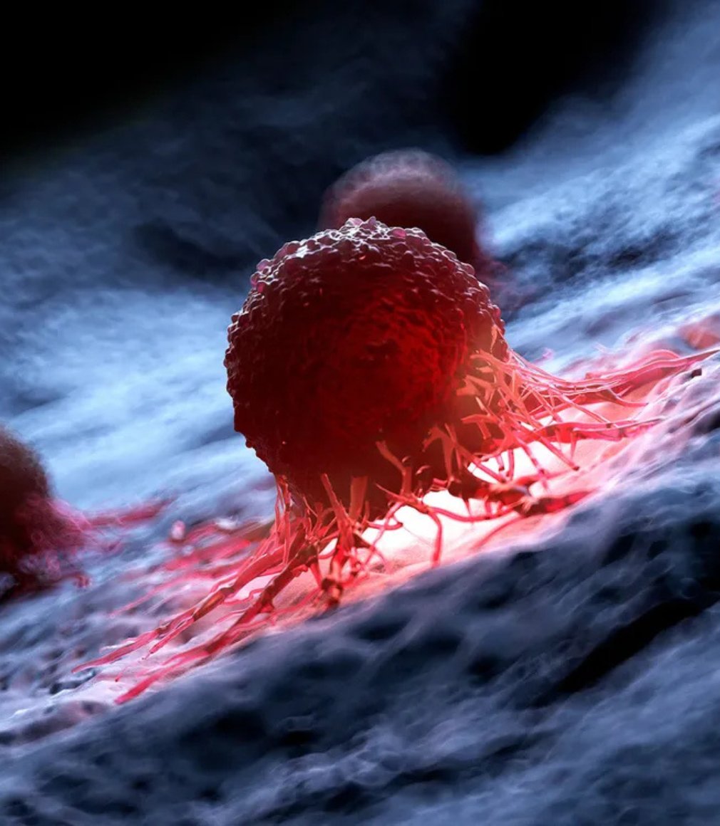 BullTheoryio's tweet photo. BREAKING: Scientists in Japan have found a way to make cancer cells destroy themselves.

They developed a toxin that activates in the presence of carbon monoxide, selectively targeting cancer cells while leaving normal cells unharmed.

This research is still at the lab stage and has not yet been proven effective or safe in humans.