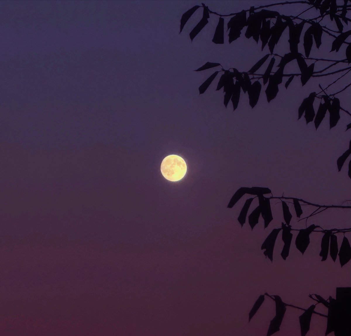 notjustplanetA's tweet photo. full moon incoming https://t.co/zaX355eBRf