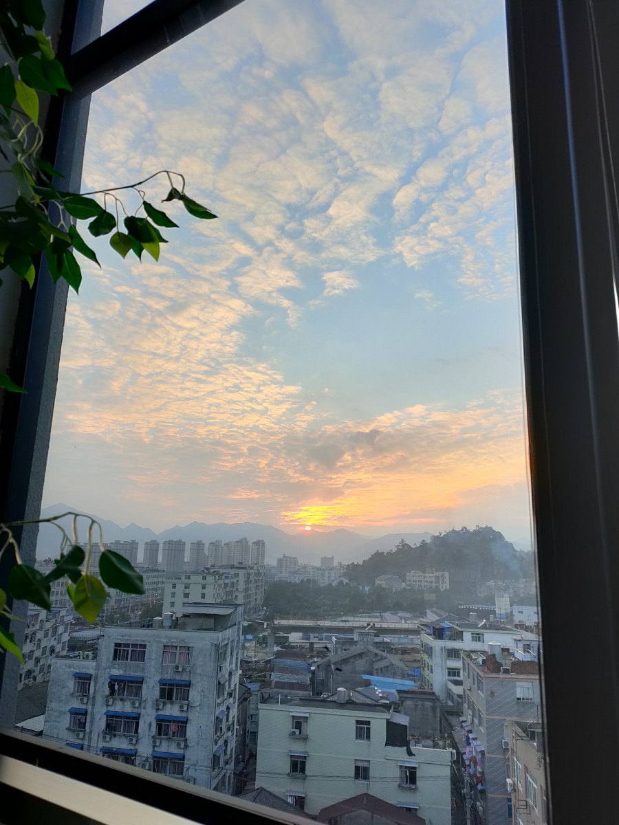 8jxfno's tweet photo. [市舷普さん、今日も元気な日ですね]， https://t.co/6O0nw9arxV