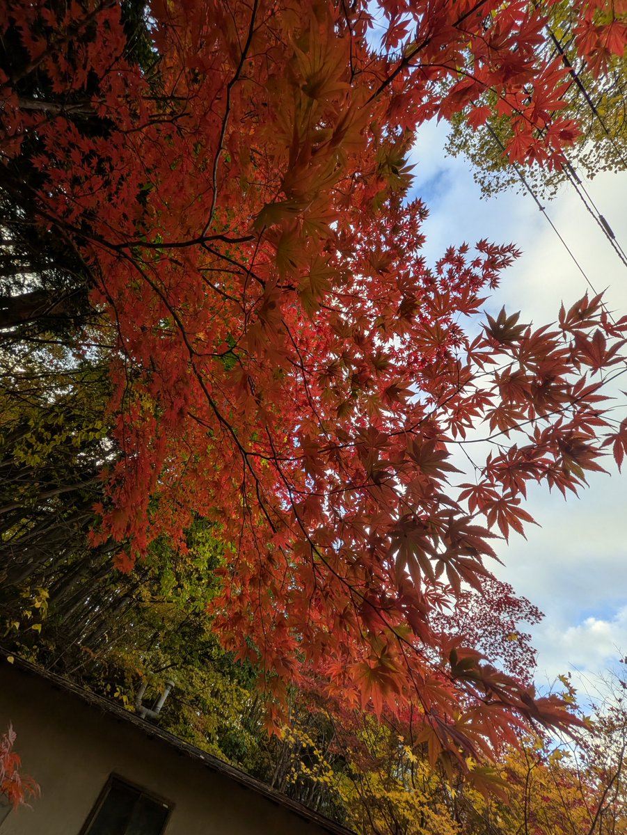 mememorikawa's tweet photo. 色々な考えや趣味趣向があっていいと思う。私と合うかはまた別の話。
ハプバや複数好きな人は好きな人同士がよいかと。
私との時間や私を大切に想ってくれる人と遊んだり楽しみたい。
不特定多数としてる方は無理！
色々な意味で病気怖いからね。

すぐ会う人って怖くないのかな？
私は沢山話がしたい https://t.co/Sm710aAvWq