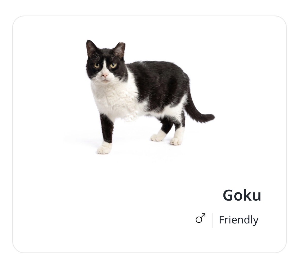 gowonluvr62's tweet photo. my heart just melted … I love you Goku https://t.co/01rkR6CljH
