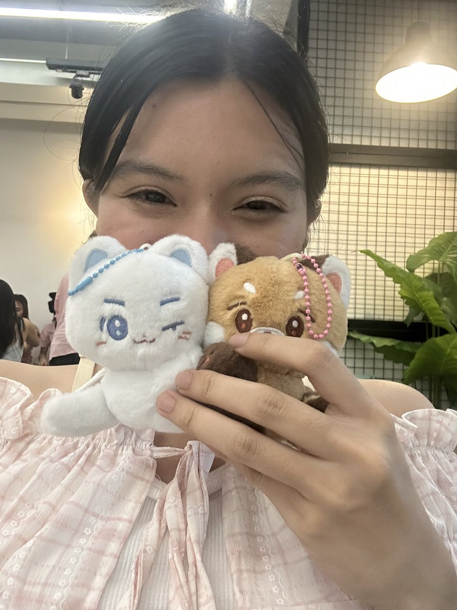 haoraebinz tweet picture
