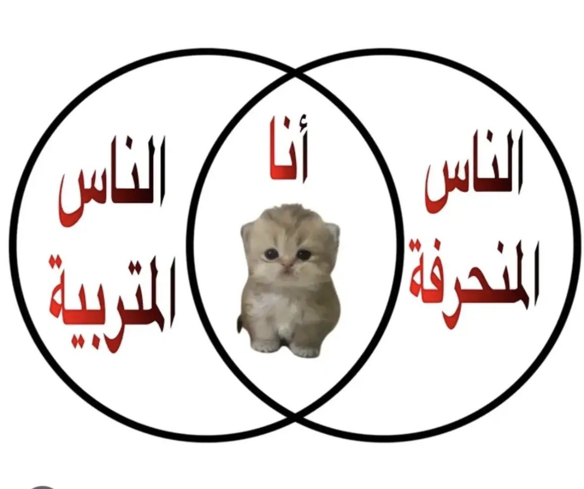 PP44K's tweet photo. بالنص https://t.co/Biy3L7t2No