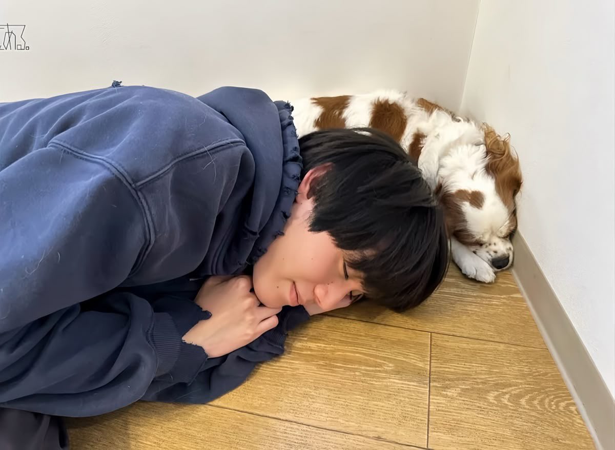 yeqlss's tweet photo. 코사쿠 아메바 블로그에서 
Q.도저히 의욕이 나지 않을 때
Q.수업 중에 졸리면
Q.졸리지는 않지만 자야만 할 때

A.잔다
ㅋㅋㅋㅋㅋㅋㅋㅋㅋㅋㅋㅋ https://t.co/QlwSqXpVfc