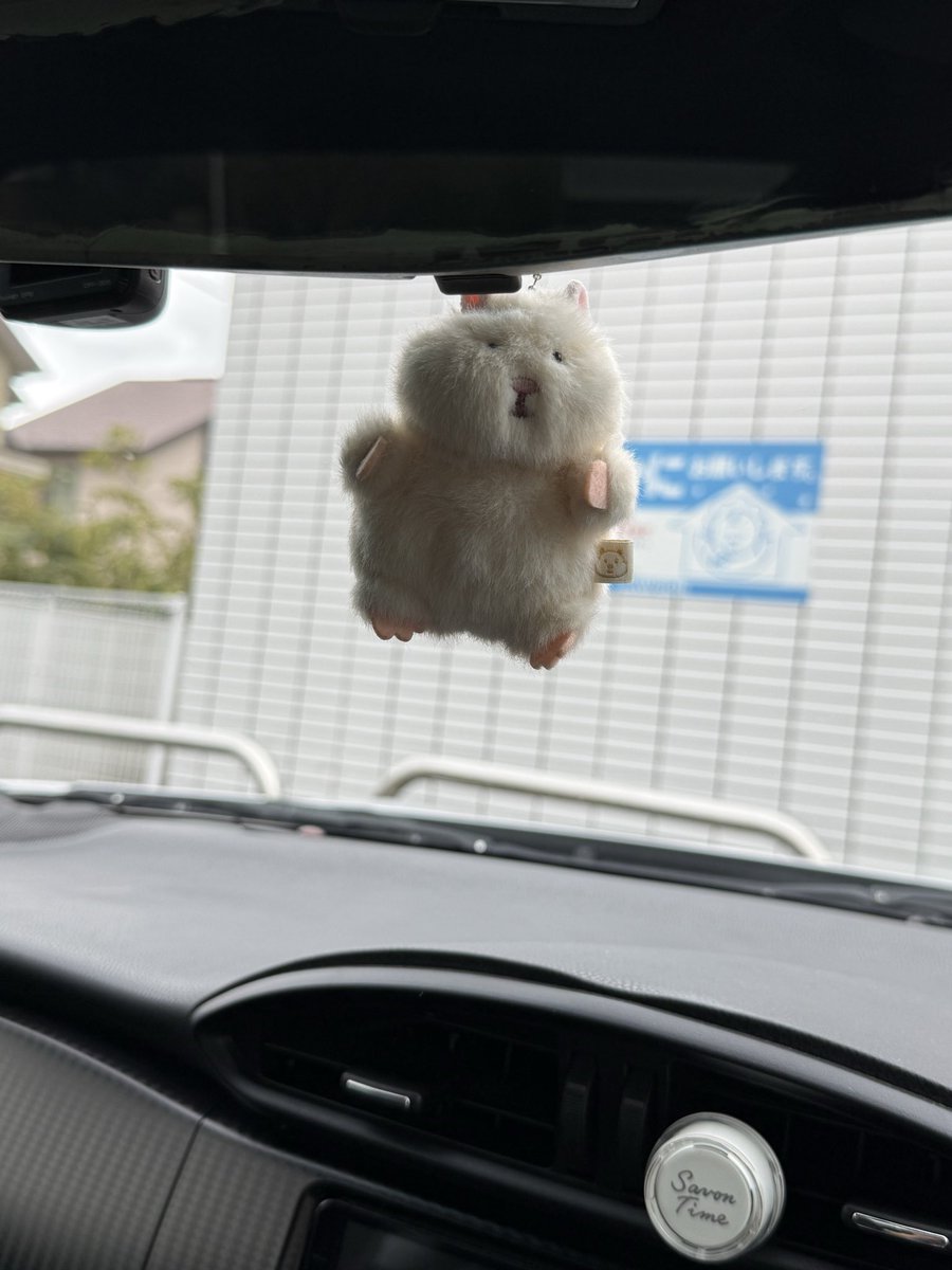v_worId's tweet photo. 安全運転を見守ってくれてる、はむにぎり https://t.co/9zmaPR3A9m