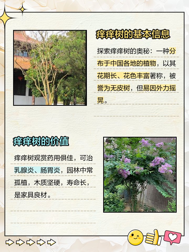 a_kou5_a's tweet photo. [今日は山で拾った糙玫が風に吹かれて虐げられてるのを見かけた。なんだか切なくて、少しだけ元気づけてあげたよ]， https://t.co/G6njS4mRNs