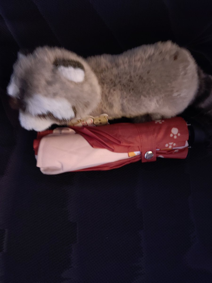 Hirokoro89's tweet photo. 皆さんこんにちはですミャ🦝✨
朝から雨が降ったり止んだりしてますミャね🦝😊🌂
体感的に肌寒い一日ですが体調に無理のない様に今日もお仕事まい進して行きますミャね🥼👔☕🍵🦝😊🌾🌰🎃🍂🍁🌳🎵 https://t.co/DOxq1mhxBs
