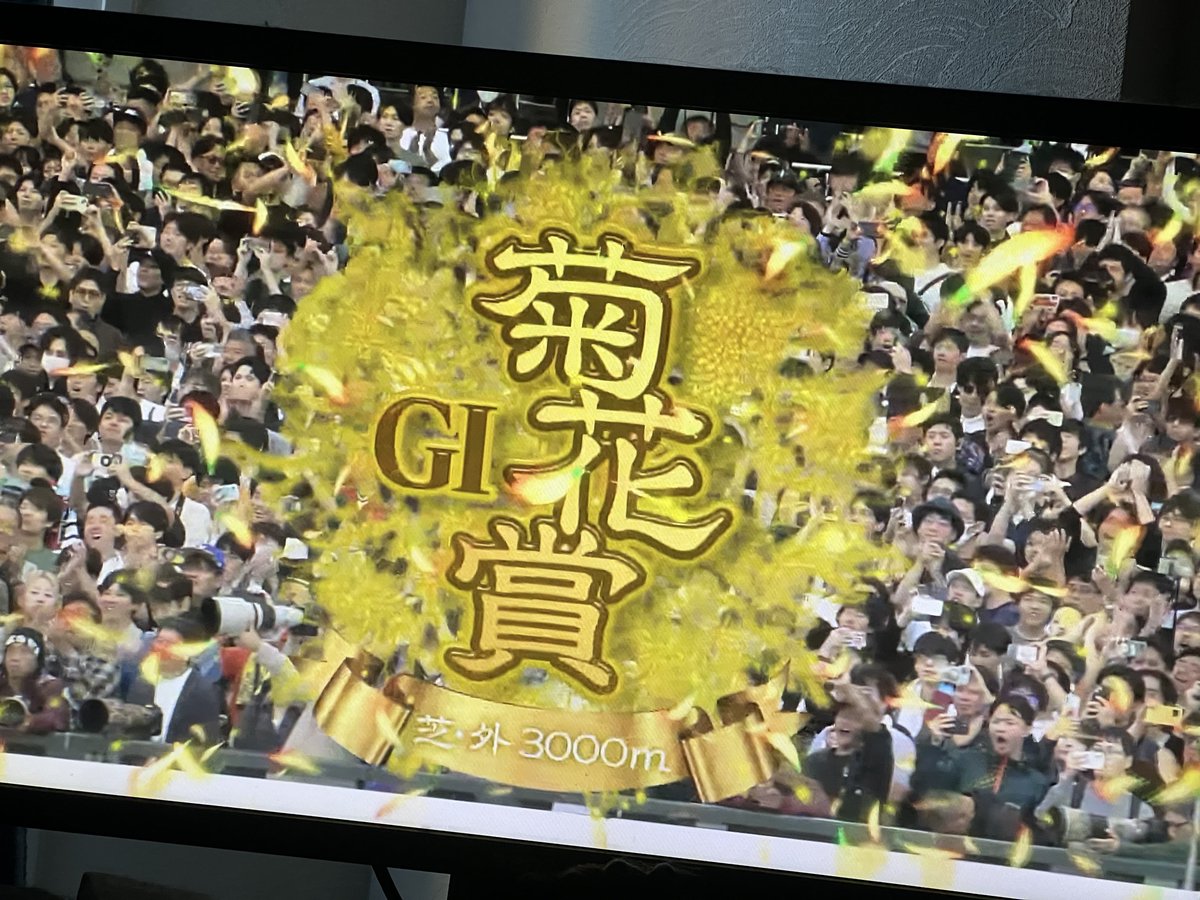 mof_nato's tweet photo. ロブチェンがんばえー！ https://t.co/Bk33Y5J9gM