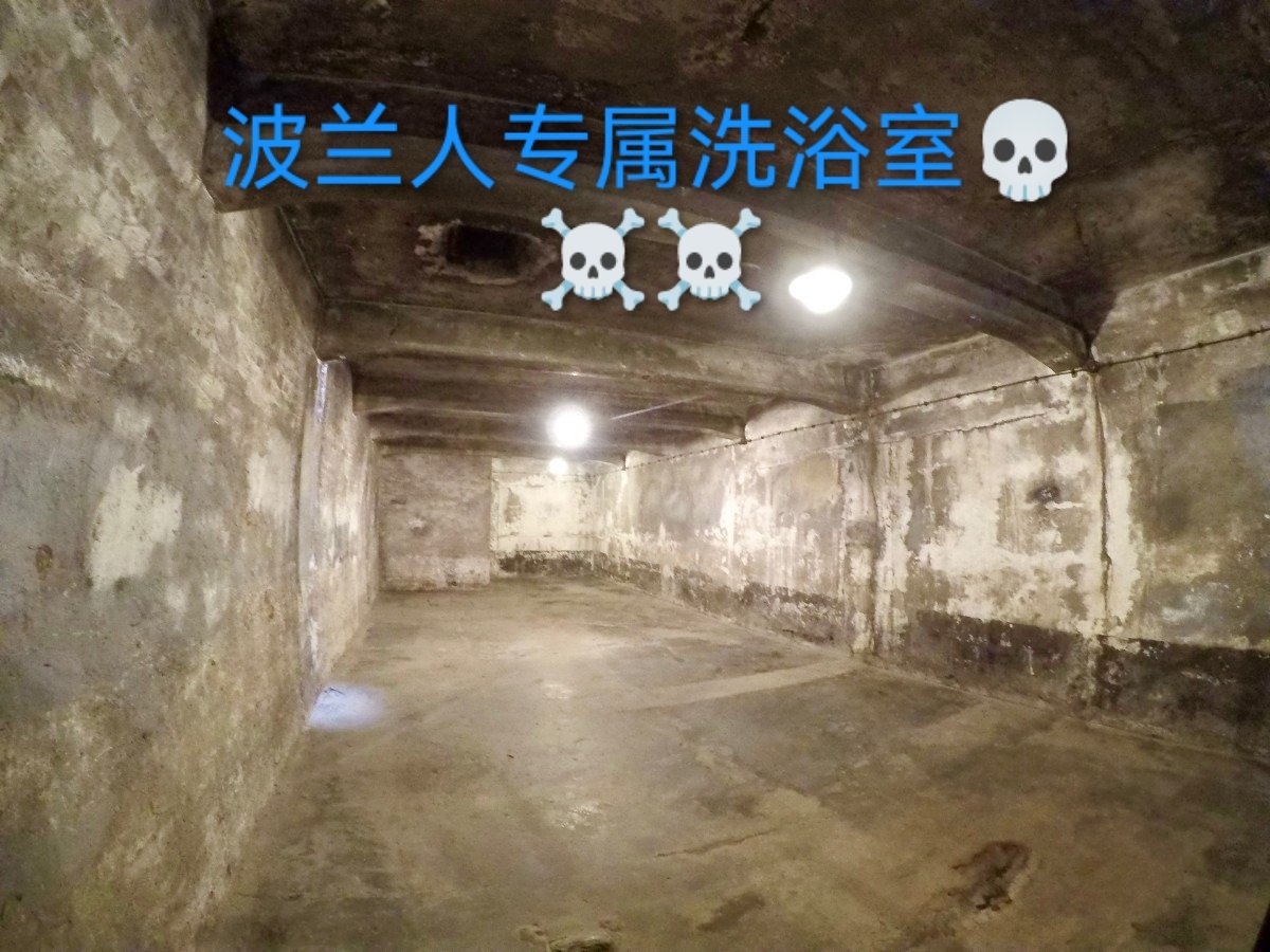 usajdkn666's tweet photo. @knyziu @chnljn995452 请不要这么说，我亲爱的波兰朋友，过来洗个澡吧，我听说波兰人洗澡必须要用奇克隆B作为浴室香薰，好像是从1942年开始流行起来的，不知道是真的还是假的🤔🤔🤔 https://t.co/xUknVVMcW8