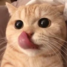 hunman02's tweet photo. #NewProfilePic https://t.co/ab0UiBTV8f