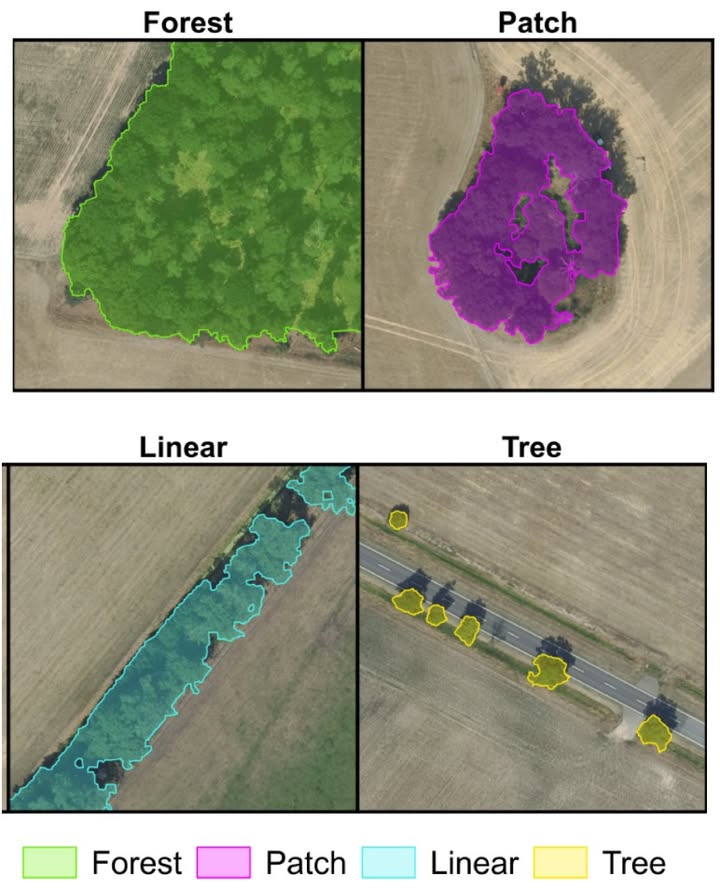 milan_janosov's tweet photo. This preprint shows how deep learning and high-res aerial imagery can accurately map trees outside forests - those scattered across fields, hedgerows, and groves that are often overlooked in environmental monitoring, or sometimes even considered as data artufacts. Check out how this vision transformer-based model works:

More: https://t.co/q4zvA7ELbF 

 #365Papers #Day316

—--------------------------------------------------------

🌍  𝐒𝐞𝐞 𝐡𝐨𝐰 𝐈 𝐭𝐞𝐚𝐜𝐡 𝐠𝐞𝐨𝐬𝐩𝐚𝐭𝐢𝐚𝐥 𝐝𝐚𝐭𝐚 𝐬𝐜𝐢𝐞𝐧𝐜𝐞: https://t.co/wmFld7BGBC