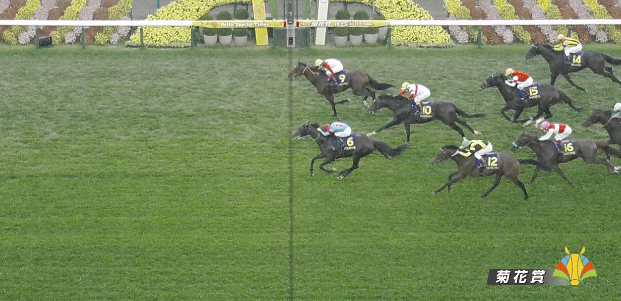 NakayamaFesuta1's tweet photo. THE TRIPLE CROWN ATTEPMPT HAS BEEN ASSASSINATED

congratulations for Going to Sky, Contrail first G1 winner!!!, wont be the last!! https://t.co/jUUkVVFJC7