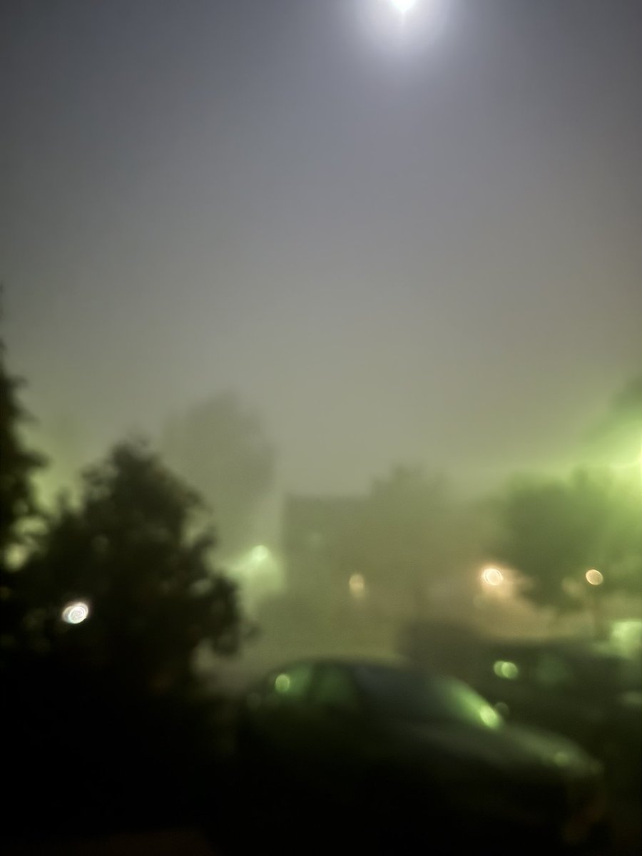 DubzBob's tweet photo. #allheart #allfog https://t.co/xiAiPePXDG