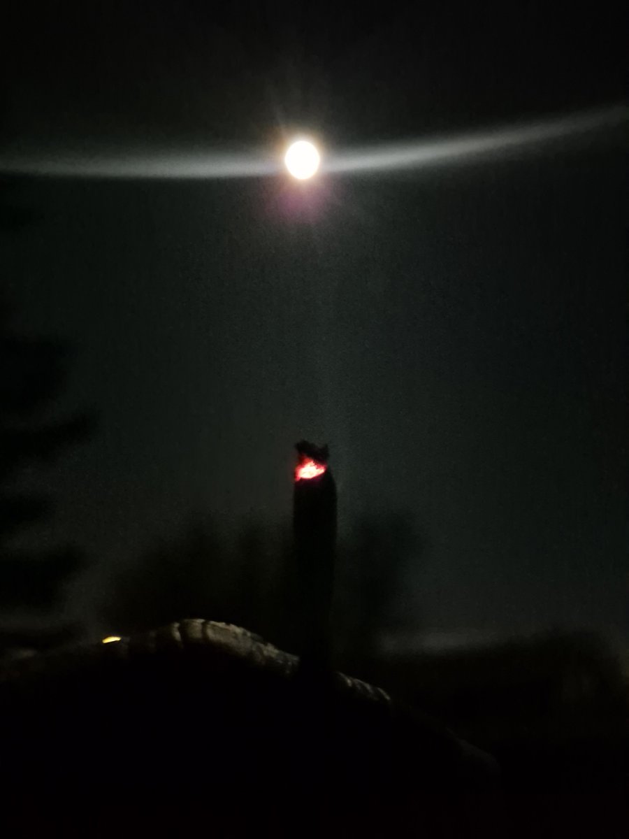 420FRP's tweet photo. Wake n Bake https://t.co/BLxzhySaIc