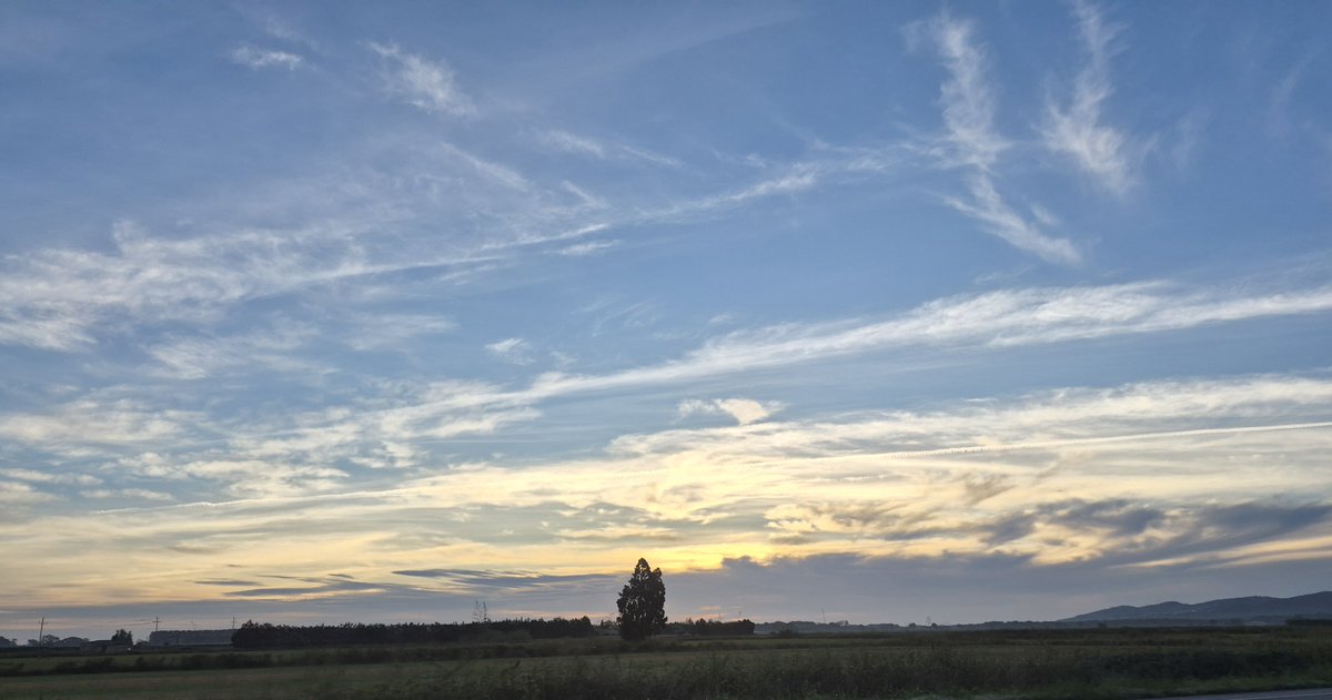 IXucla's tweet photo. Llarga nit i, per fi, un somni. El somni ...  🥰

Voldria segui dormint, però no deixaria de ser un somni.
M'il·lusiona lluitar per fer-lo realitat!!

Bon dia a tothom i a lluitar pels somnis!!  💪😍 https://t.co/srIljoG5tB