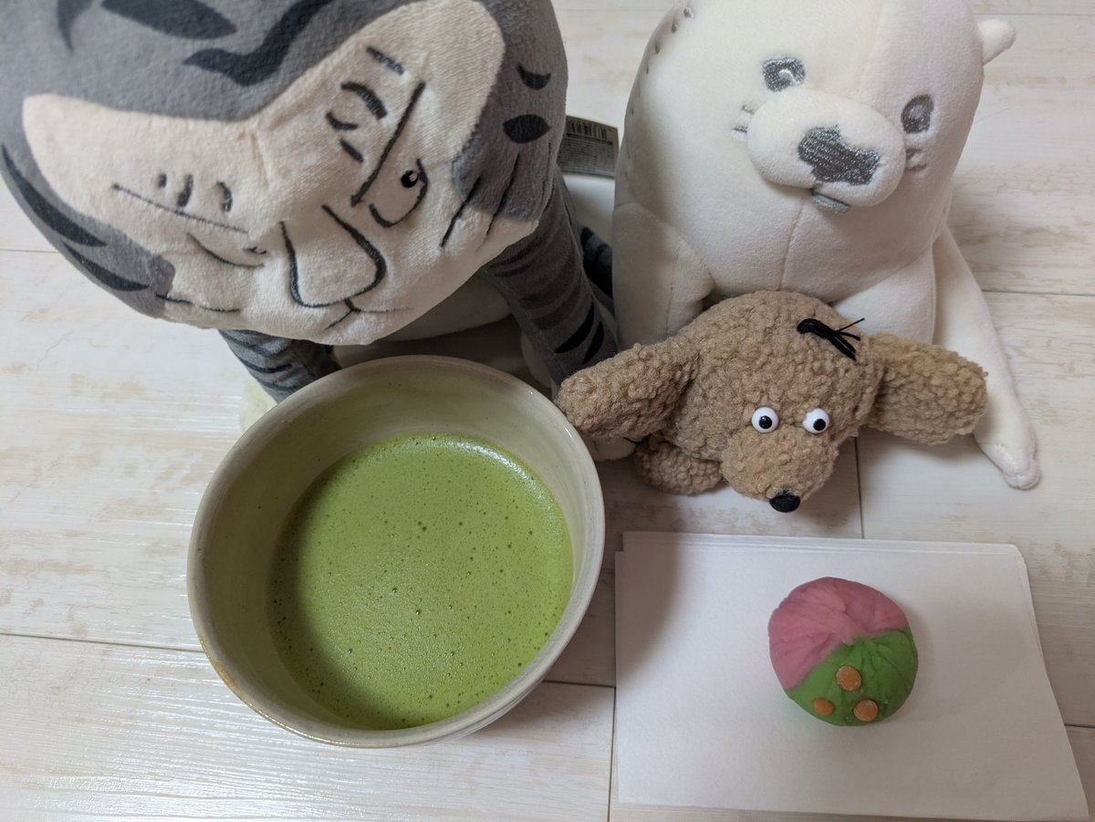 contrant's tweet photo. なぜかワシだけお点前2回することになっており席周りできなかったのでお菓子だけ貰ってきたんだよな（少し潰れたよね）末富さんのお菓子は大きくて美味だ https://t.co/dEdk7F604I