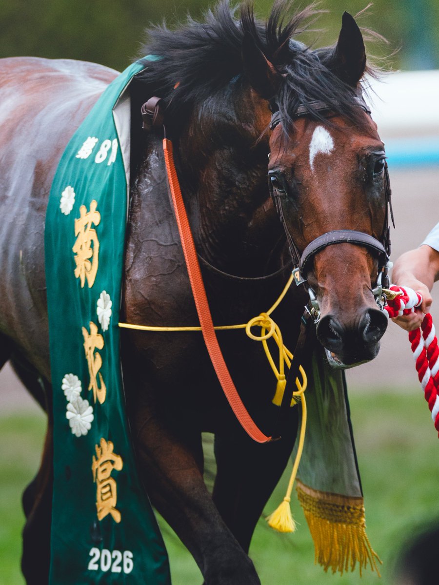 Akauni294's tweet photo. 春の悔しさを晴らす勝利でしたね。
おめでとう！
2026/10/25 京都競馬場
#ゴーイントゥスカイ
#菊花賞 https://t.co/E6CE02OFQ5