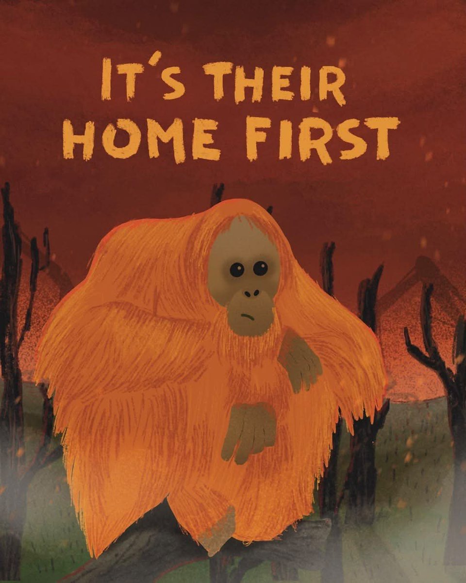 indepenSumatera's tweet photo. Dear @elonmusk, please help amplify our cries for Indonesia’s burning forests. 💔

Our forests are burning, and orangutans one of the world’s most threatened great apes are losing the only home they have ever known.

In Tanjung Puting, a sanctuary for orangutans is facing the devastating threat of fire. In Way Kambas, the habitat of Sumatran elephants has also been affected by fires.

Behind every wall of smoke, there may be a mother desperately trying to protect her baby. Behind every tree reduced to ashes, there may be a life with nowhere left to run.

They cannot call for help. They cannot escape by car. They cannot tell the world that their home is disappearing. So we must be their voice.

Indonesia’s forests are not just green patches on a map. They are living homes, breathing ecosystems, and the last refuge for species that may never recover if we lose them.

Imagine being a baby orangutan, clinging to your mother as the forest around you burns. Imagine being an elephant, forced to flee the only habitat you have ever known. They did not cause this crisis, yet they are among those paying the price.

Dear Elon, your platform can help these voices travel across borders. Please help bring international attention to the fires threatening Indonesia’s forests and wildlife. Help the world see what is happening before more of this irreplaceable natural heritage is lost.

We do not want the world to remember our orangutans only through photographs after their forests are gone.

Please help us make the world listen while there is still something left to save.

A forest can take decades to recover. A species pushed to extinction may never return.

Please, let the world hear our cry. 🌏🦧🐘

#SaveIndonesianForests #SaveOrangutans #SaveSumatranElephants #TanjungPuting #WayKambas