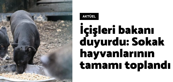ocalnet's tweet photo. Birimiz rüya görüyor.. Ama hangimiz? https://t.co/cNUJf7mL5L