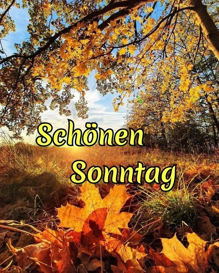 USandig's tweet photo. @GodIsAWoman76 @sara_knickers 😍💋😍💋😍💋😍 https://t.co/4pGiRWX5g2