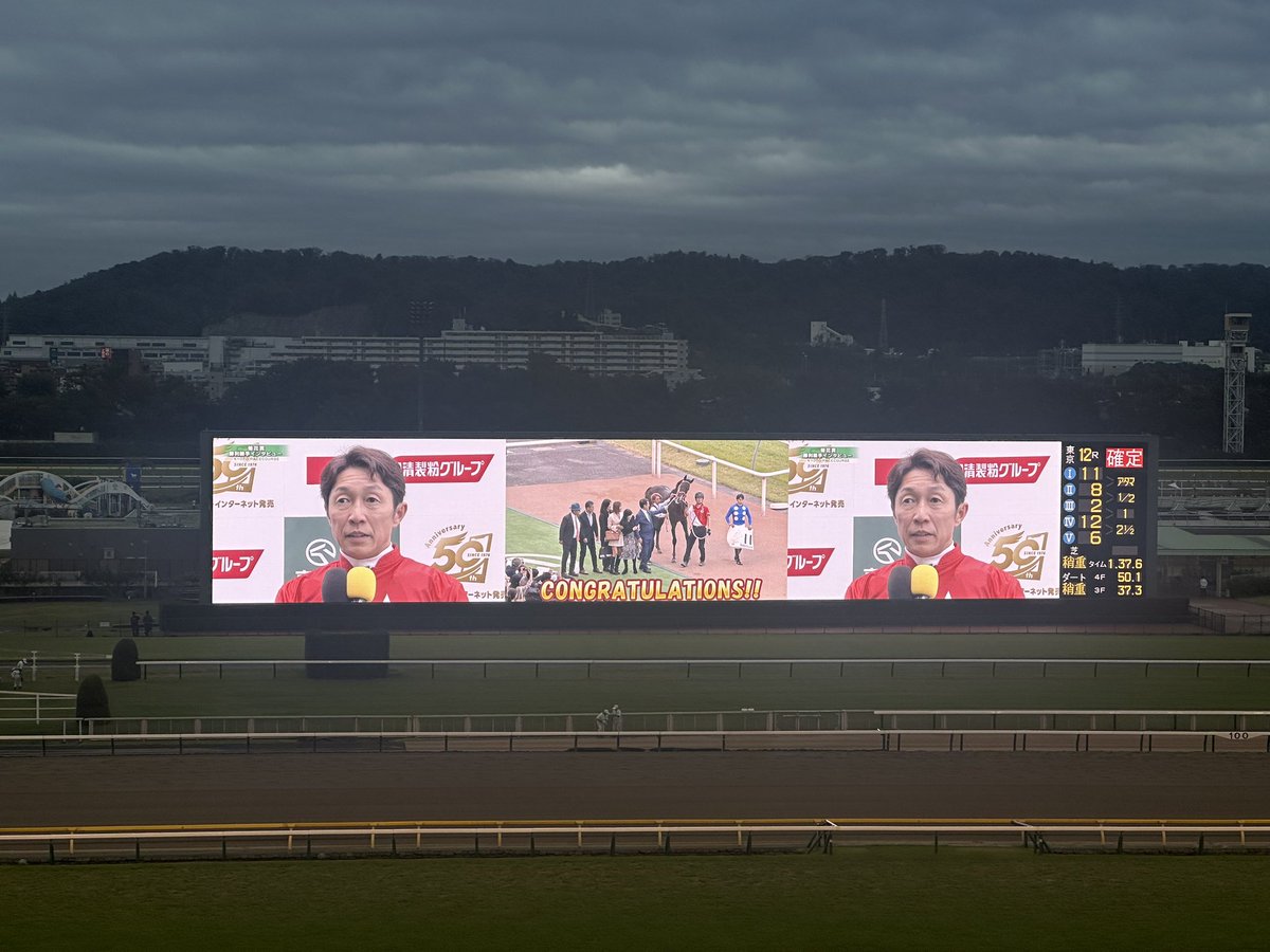 tak17841's tweet photo. このおじもう人間国宝だろ
#菊花賞 https://t.co/WR9jGB8fEU