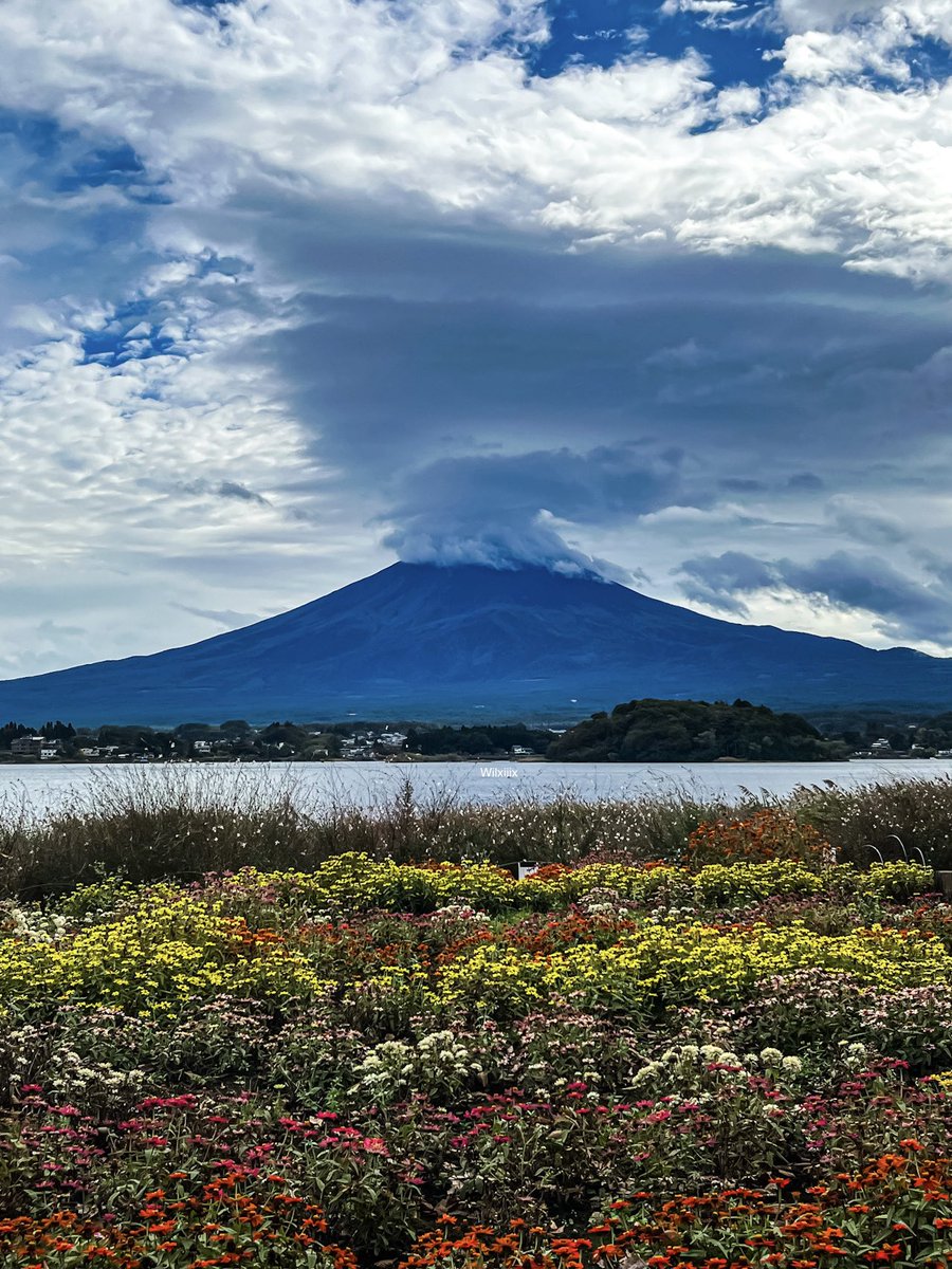 wilxiiix's tweet photo. Fuji-san 🗻🇯🇵 https://t.co/jVIcX1Koij