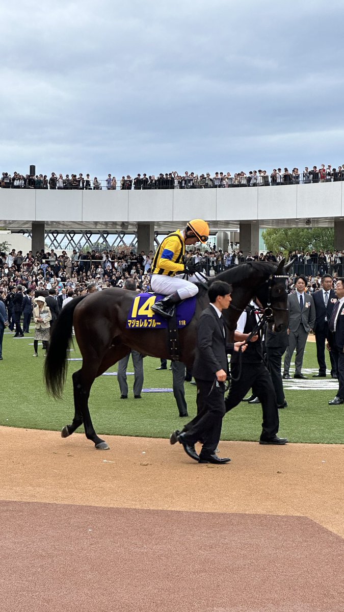 taxtoshi tweet picture