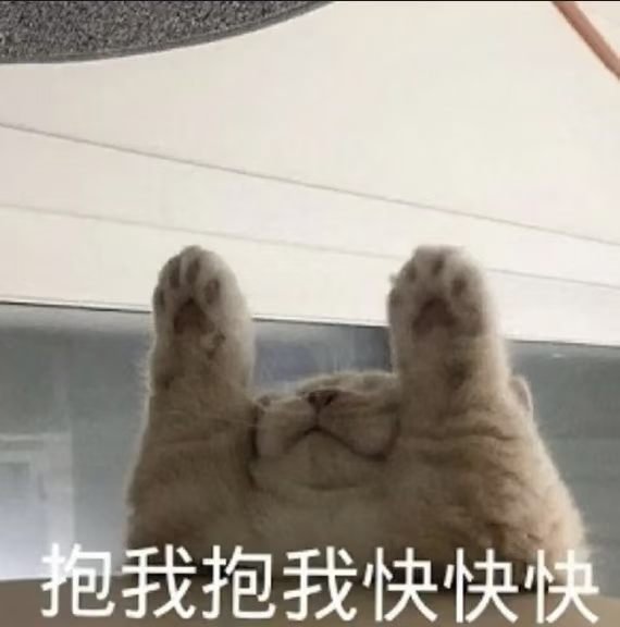 eirinako2y's tweet photo. 抱我qwq https://t.co/z7FXo7Rx8e