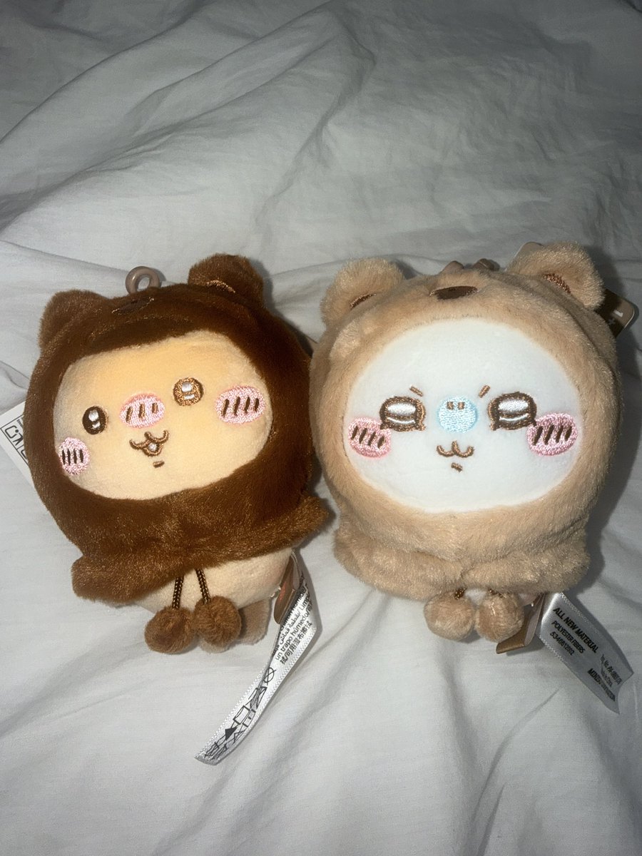 your_4001's tweet photo. 히히 오늘 토벌 대성공…
제가 직접 토벌한 건 오늘이 처음이엇어여…
저 나름 워뇨개체로 잘 고르지 안ㄹ앗나요…🥹🥹 https://t.co/sg3WwLZXJx