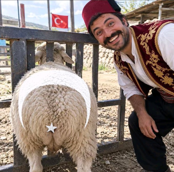 DURDON's tweet photo. @merAltnk714710 https://t.co/jflXMs3ozL