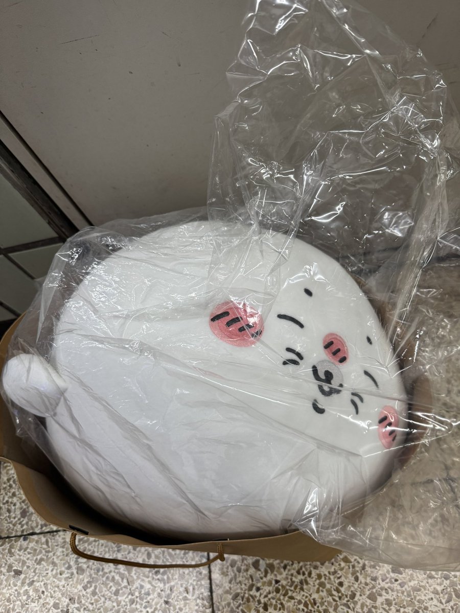 booguesst's tweet photo. 사실 이렇게 치이카와 좋아하기 전에는 
수족관 좋아해서 쿠지도 해서 a상도 뽑아서 
집에 있어요.. https://t.co/XU9HMgmWjk