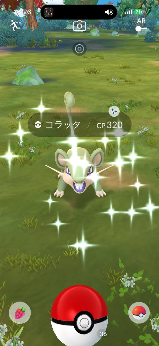 twbomby's tweet photo. 最近の収穫✨
エリキテル初めまして〜
#ポケモンGO #PokemonGO https://t.co/gK9oPhqLVX
