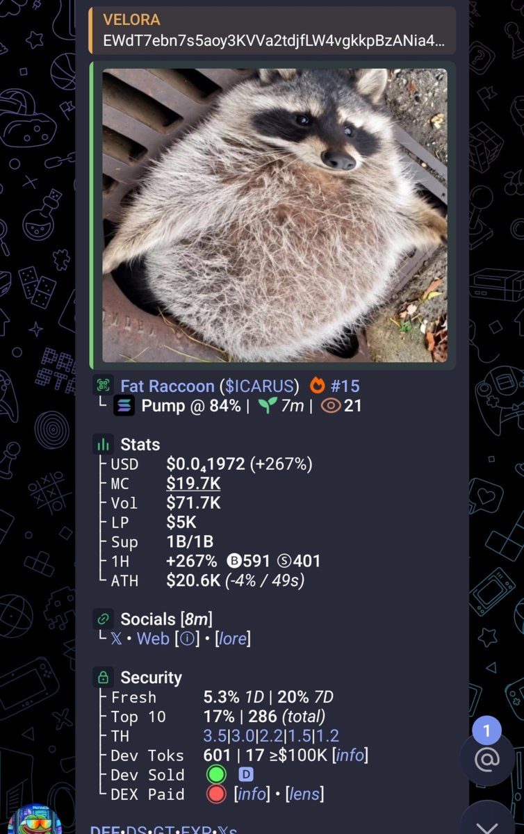 VELORA_GEMS's tweet photo. Ca;
EWdT7ebn7s5aoy3KVVa2tdjfLW4vgkkpBzANia4zpump https://t.co/ld7wALOqnw