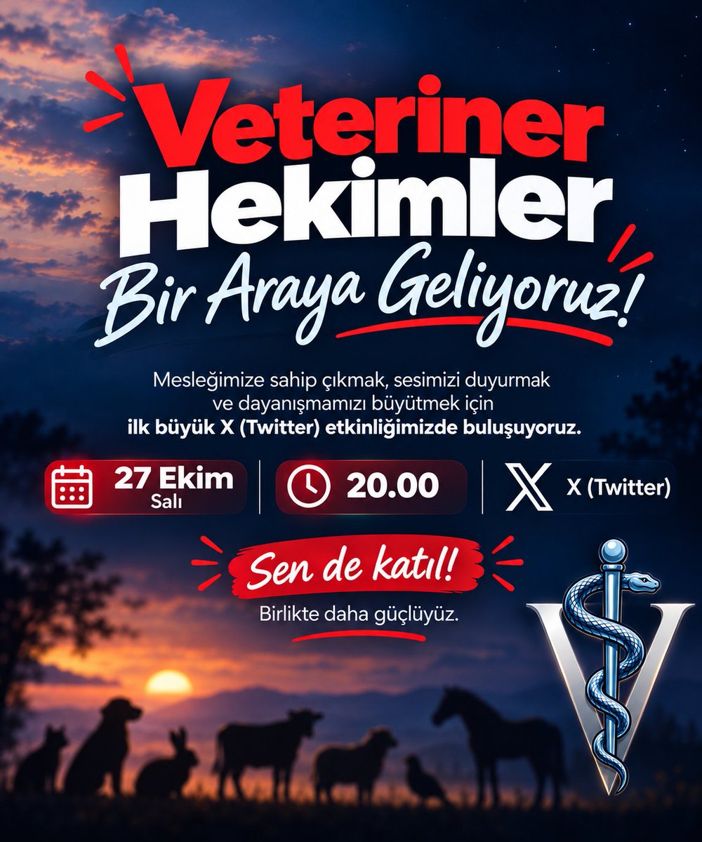 kpssvethek2026's tweet photo. Aralık ayındaki merkezi atama öncesinde kadro taleplerimize dikkat çekmek için ilk X etkinliğimizde buluşuyoruz.

Sesimizi birlikte duyuralım 📢
#VeterinerHekimlerAtamaBekliyor https://t.co/SJ9DxIh79a