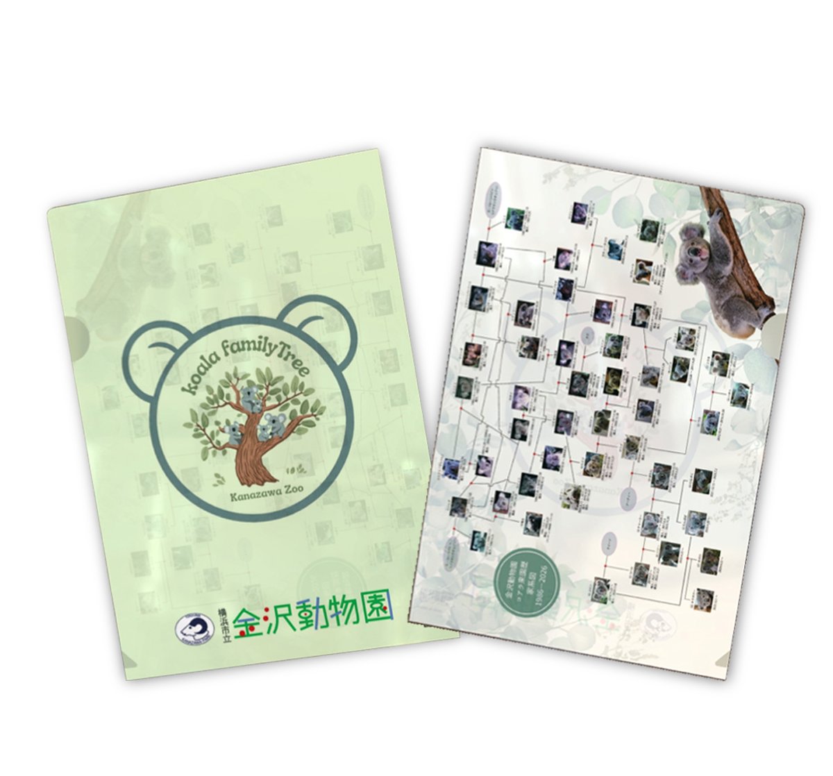 kanazawazoo317 tweet picture