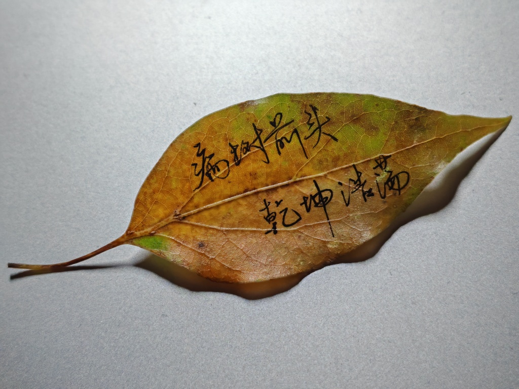 KDtest0402's tweet photo. [堪谈淹]の3文字を混ぜたユニークな瞬間、今日はそんな珍しい組み合わせに注目だ！ https://t.co/RvMNBZ3O7C
